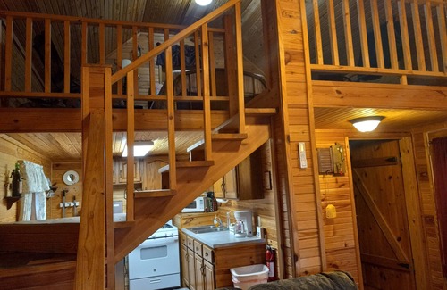 Timbo Cabin | Cozy cabin in the woods. Peaceful and only 15 minutes to Mountain View.