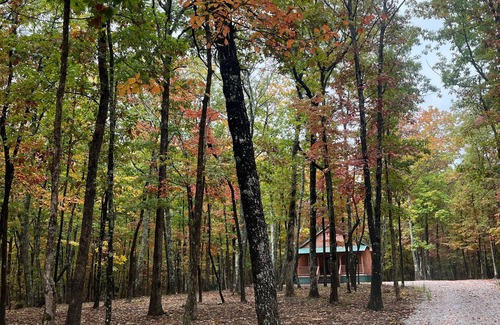 Cooleys Rift Cabin | Cozy Cabin on 5 wooden acres in Cooley's Rift