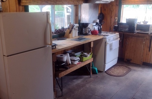 Manton Cabin | Cozy cabin on the river!