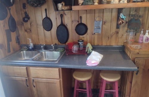 Manton Cabin | Cozy cabin on the river!