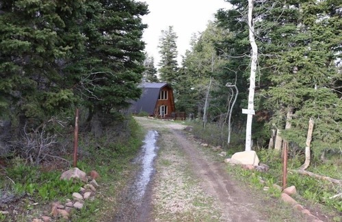 Tollgate Canyon Cabin | Cozy Cabin/Park City/Wooded mountain area with spectacular views