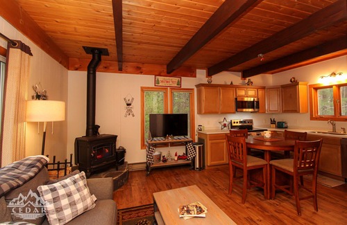 Jay House | Cozy Cedar Chalet in the heart of the ADK's. Dog Friendly.