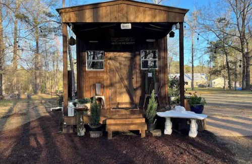 Conway Cabin | Cozy Cocoon by the Pond