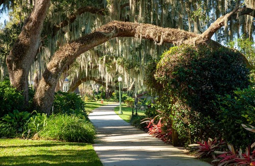 Mount Dora Apartment | Cozy & Comfy Loft! 5 min drive to DT Mt. Dora!