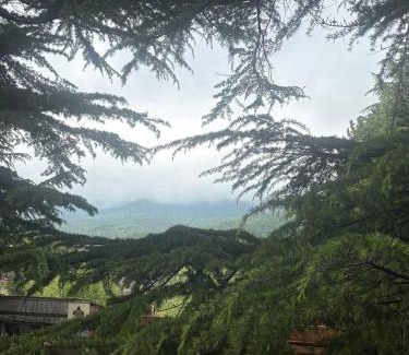 Dilijan Apartment | Cozy corner Dilijan