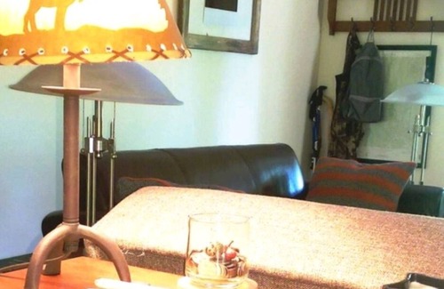 McArthur Cabin | Cozy Evergreen Cabin in state forest!🌲 close 2 Hocking hills ,Lake Hope, Athens