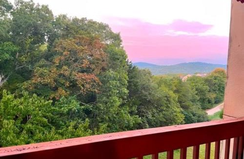 Indian Point Apartment | Cozy Lakeside Getaway - Outdoor Theater - Free Early Check-In- 4min to Silver Dollar City