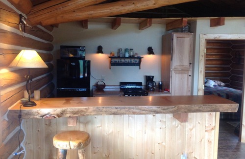 Salmon Cabin | Cozy log cabin set along Jesse creek within walking distance to downtown Salmon