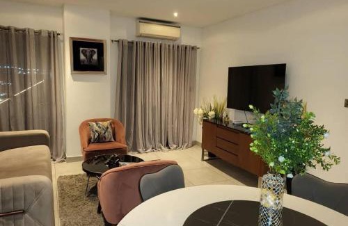 Accra Apartment | Cozy & Luxurious East Legon Apt with gym, pool & rooftop
