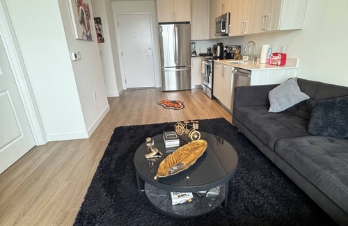 Allapattah Condo | Cozy luxury Pent House 1 bedroom 1 bath Miami FL Wynwood area.