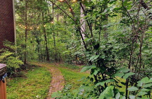 Milton Apartment | Cozy Milton Guest Suite with Private, Wooded Patio & Kitchenette