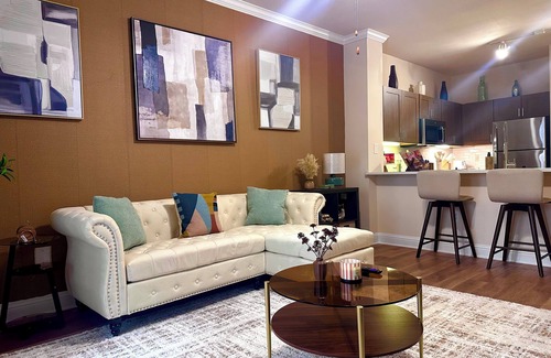 Houston Apartment | Cozy Modern 1BD Med Center NRG Galleria Downtown.