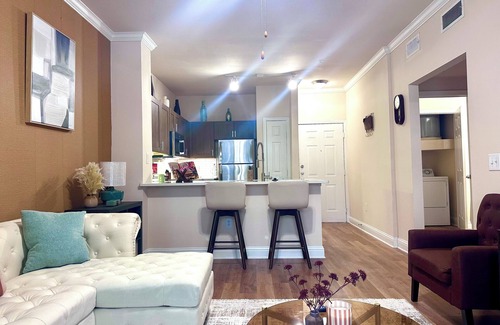 Houston Apartment | Cozy Modern 1BD Med Center NRG Galleria Downtown.