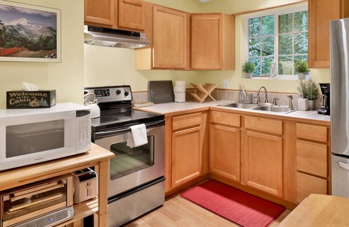 Warnick Cabin | Cozy Mt. Baker Cabin Wi-Fi + Pets OK