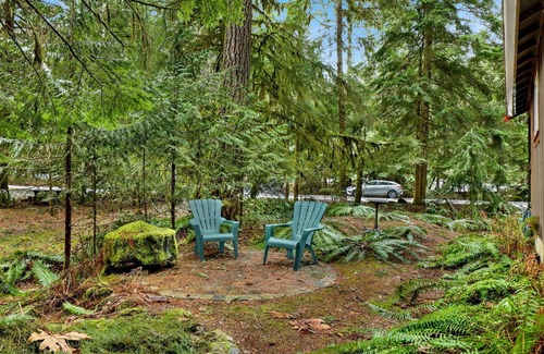 Warnick Cabin | Cozy Mt. Baker Cabin Wi-Fi + Pets OK