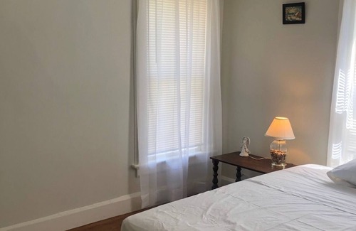 Binghamton Apartment | Cozy Peruvian Lily=5 minutes walk to UHS and shops. 2 mins walk to the Zoo.