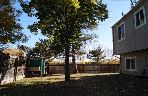 Longmont House | Cozy, pet friendly, home. Great location for walks, food, Boulder, Lyons & RMNP