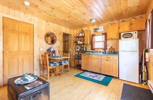 Warrensburg Cabin | Cozy Riverfront Adirondack Cabin [+ Bonus Cabin]