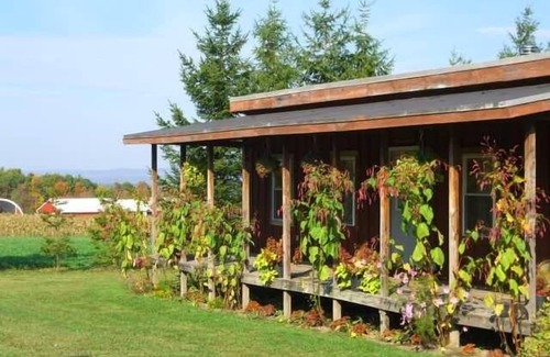 Valois Cabin | Cozy, rustic cabin with beautiful views, privacy, and 1 mile from Keuka Lake