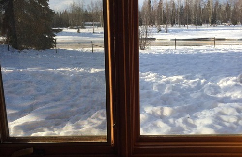 College Cabin | Cozy two bedroom log cabin on the Chena River near town.