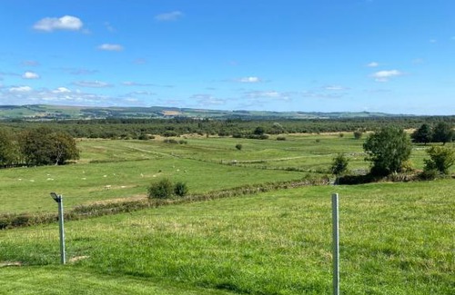 Dumfries Other | Craigend Farm Holiday Pods - The Woolly Sheep