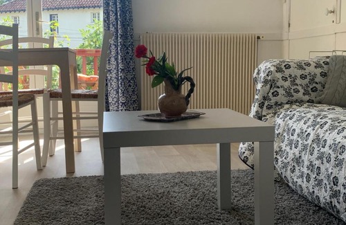 Salies-de-Bearn Apartment | Craven Cottage