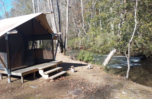 Murphy RV Rental | Creek Front Safari Tent-Furnished, relaxing under the stars, Firepit, Smores.