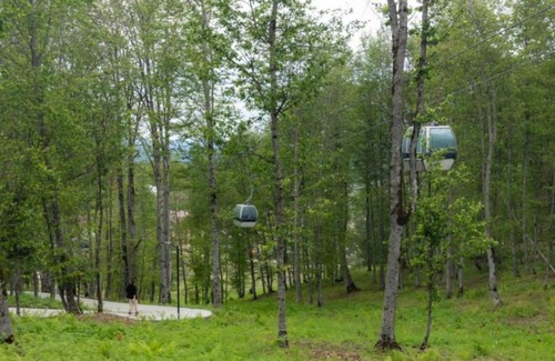 Bakuriani Apartment | Crystal Loft Apartment Block A 512