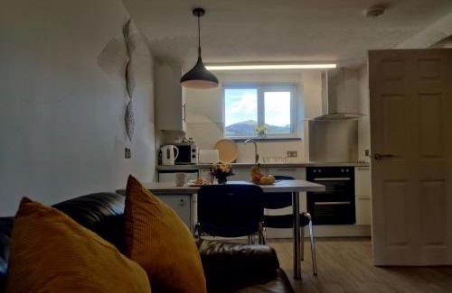 Llanbedr-dyffryn-clwyd Apartment | Curlew's Nest