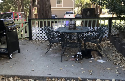 Cedar Glen House | Cute, Cozy, Clean Mountain Cottage Please inquire for dates available. Pets