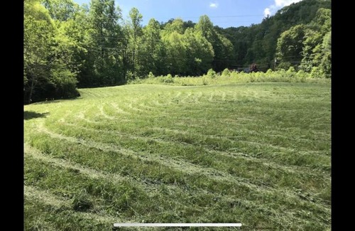 Topton Apartment | Cute Little Cabin (Near the Nantahala River)