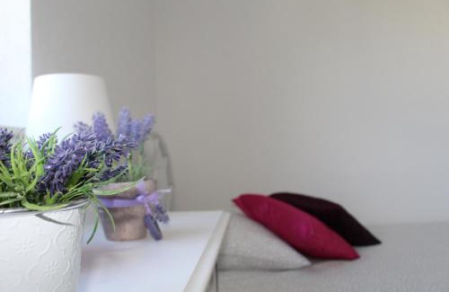 Kastel Kambelovac Apartment | Cvita
