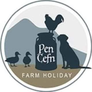 Rhyd-y-foel Other | Cwtch Winnie Shepherd's Hut- Pen Cefn Farm Holiday