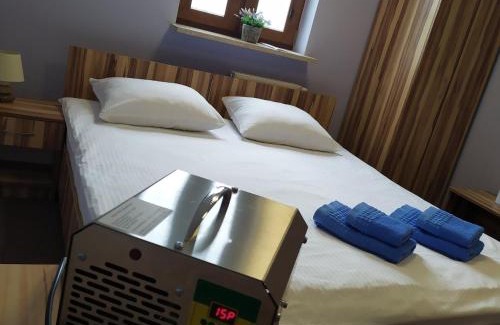 Checiny Hotel | Da Vinci