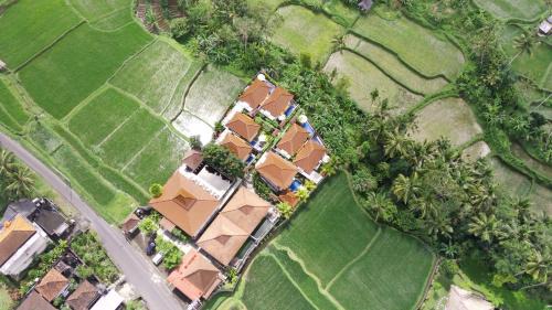 Kenderan Hotel | Danakha Villa Ubud