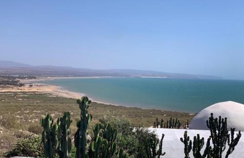 Essaouira House | Dar Gecko