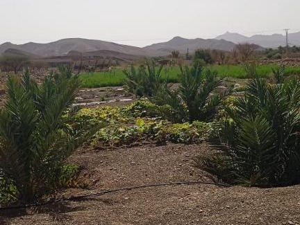 Ait El Farsi House | Dar Salam