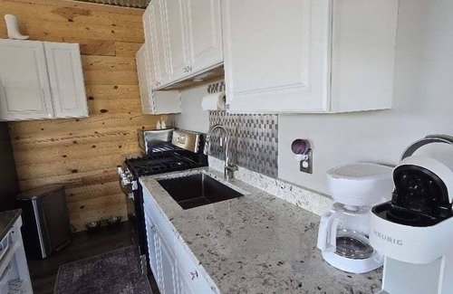 Clark Cabin | Dark Sky Retreat- 2 cabins, pet friendly, mountain views