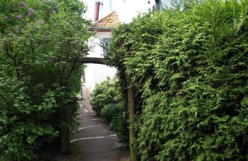 Stephanshausen Apartment | Das Alte Forsthaus