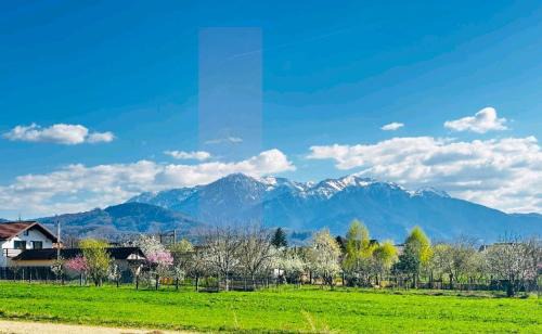Rasnov Apartment | DAS Home-Vedere la Muntii Bucegi parcare gratuita