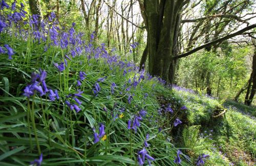 Whitland House | David's Organic Farm Wales