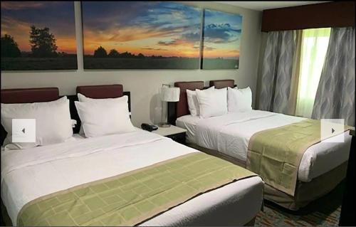 Bellville Hotel | Days Inn by Wyndham Bellville Mansfield