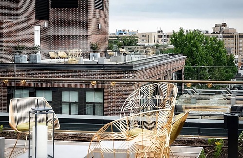 Adams Morgan Hotel | DC Retreat Experience, Zoo & Parks Nearby, 4 Stylish Units!