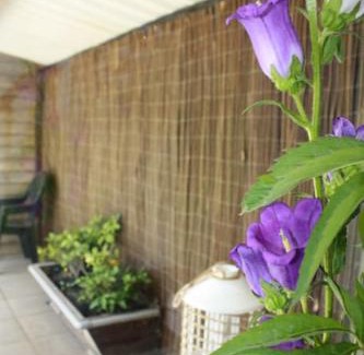 Castricum House | De Bosrand grenzend aan het bos