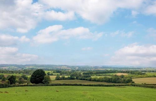Ottery St Mary House | Deer View
