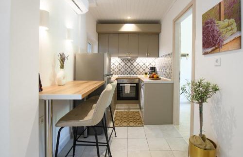 Agios Georgios Pagon Apartment | Delfini Resort