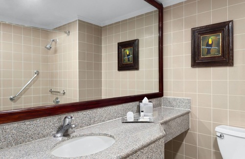 San Jose Hotel | Delta Hotels by Marriott San Jose Aurola