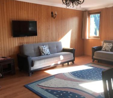Ayder Yaylasi Apartment | DELUX APART OTEL