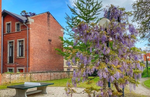 Saverne Apartment | DELUX L'EVASION balcon-3min du center Château
