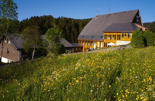Furtwangen Apartment | Deluxe Doppelzimmer mit Balkon